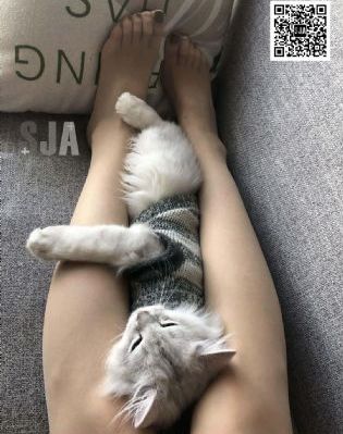 在线观看高潮_高清神马影院手机在线