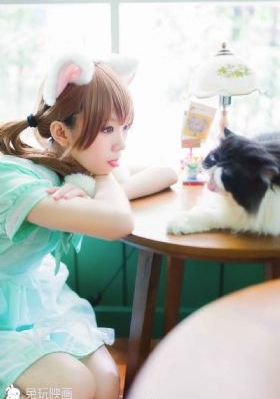 猫之茗1—40集_BD韩语完整在线观看