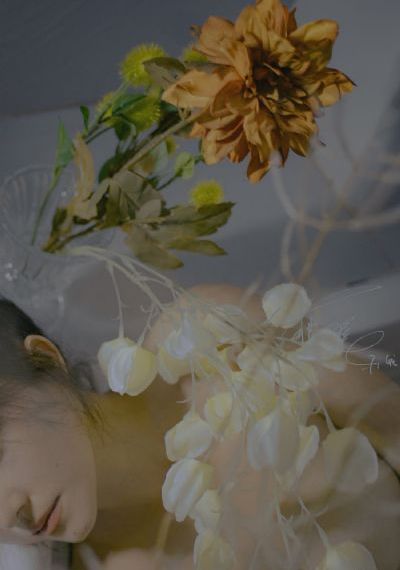 美女视频在线观看免费视频网软件_免费在线观看播放