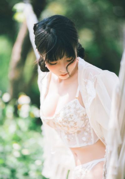 芈月传芈月传_DVD高清视频播放