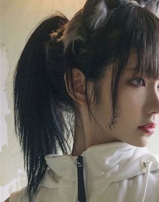 法医秦明张若昀免费全集观看_超清在线观看完整版