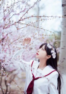 乳色吐息樱花_4K超清在线观看