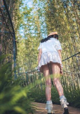 《顶楼的大象》_DVD免费全集观看
